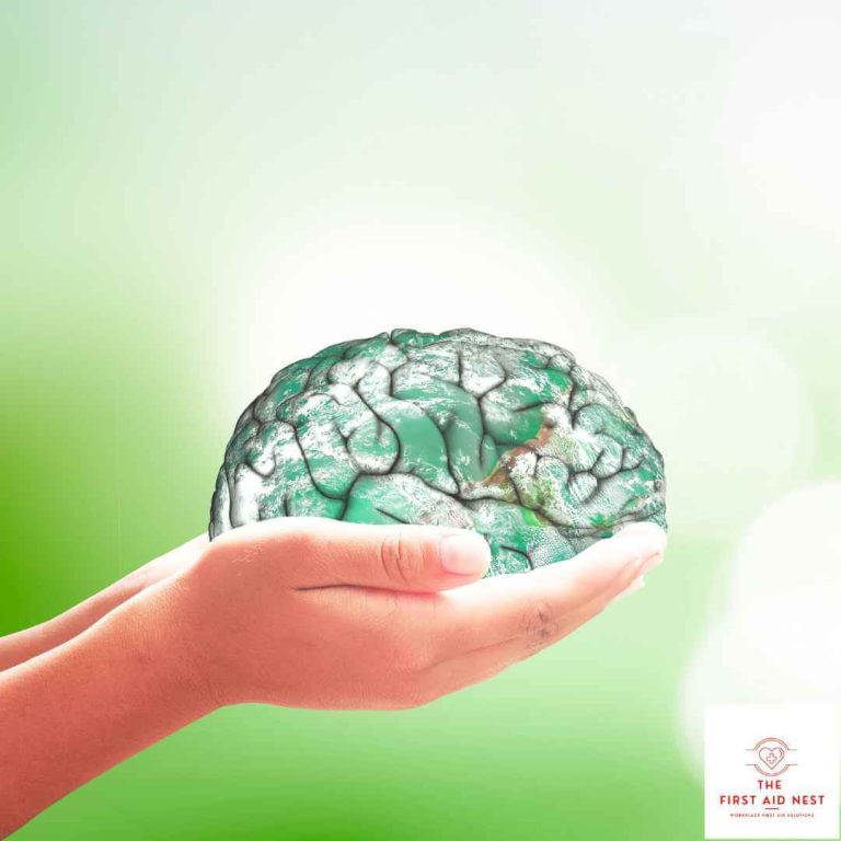 Mental Health First Aid Course Online June The First Aid Nest