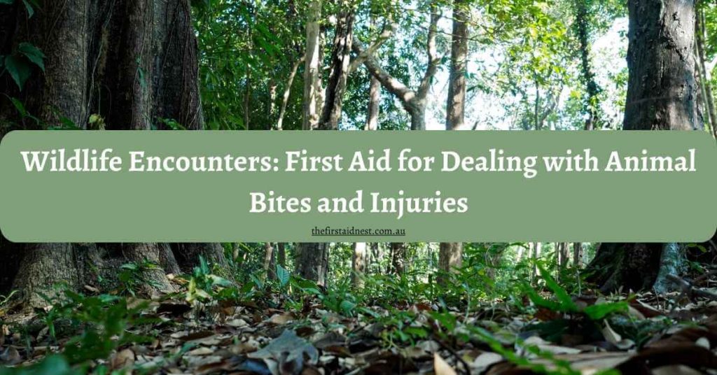 Wildlife Encounters: First Aid for Dealing with Animal Bites and Injuries