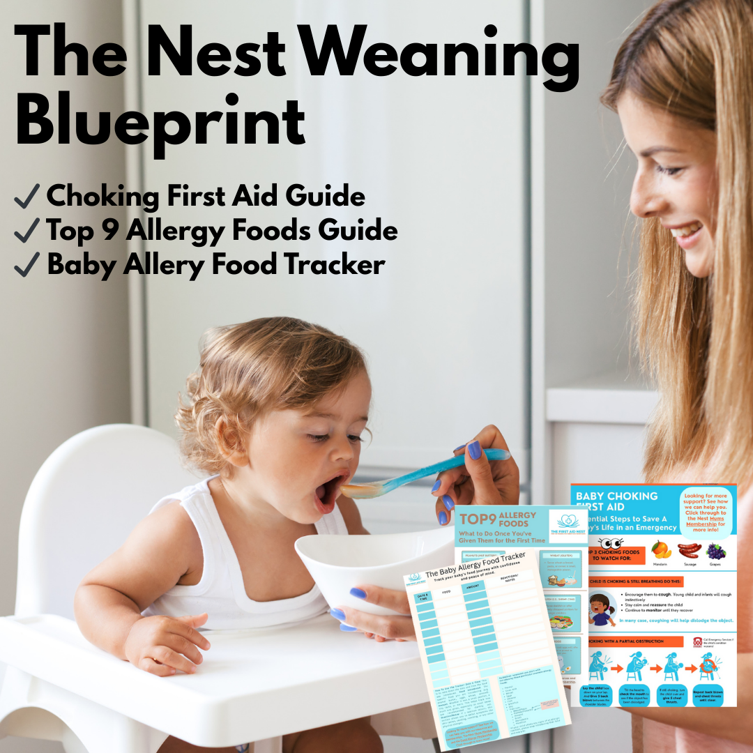 The Baby Allergy & Weaning blueprint